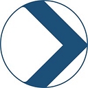 Direct Security Solutions logo