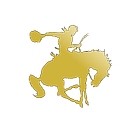 D Hanis Independent School District logo
