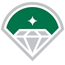 DIAMOND BASEBALL HOLDINGS LLC