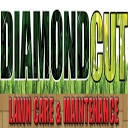 Diamond Cut Lawn Care & Maintenance logo