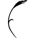 Diamond Women's Center logo