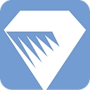 Diamond Shine Inc. logo