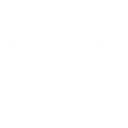 diamondsupplyco.com logo