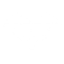 Logo for diamondsupplyco.com