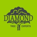 Diamond Tree Experts logo