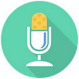 Voice In logo