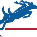 Diers Ford Lincoln logo