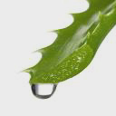 Digestinol Research logo