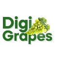 Digigrapes Technologies logo