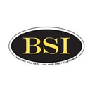 Business Solutions International logo