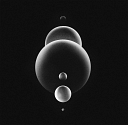 Digital Ego logo
