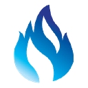 Digital Fire. logo