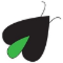 Digital Firefly Marketing logo