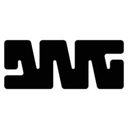 Digital Native Group logo