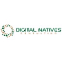 Favicon of Digital Natives Consulting