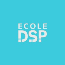 Logo DSP Digital School of Paris