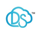 Digital South Communications logo