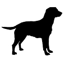 Dillard Jones Builders logo