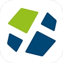Dillistone Systems   A Leading Global Supplier Of Cloud/Saas Executive Search Software And Services logo