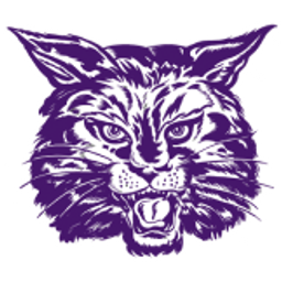 DIMMITT H S logo