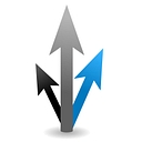 Direct Development Training logo