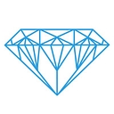 Direct Food Group logo