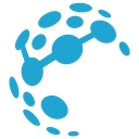 Directional Services, Inc. logo