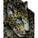 Directors Data, Inc. logo