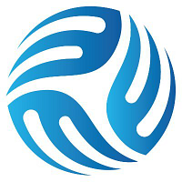 Direct Soccer logo
