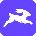 Directus logo