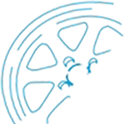Direct Wheel Source logo