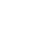 dirtdevil.com logo