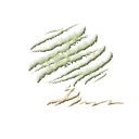 Disabatino Landscaping logo