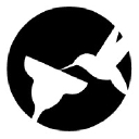 discerningdrinks.com logo
