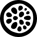 Disciple logo