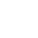 DiscoLike logo
