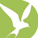 Discover The World Education logo