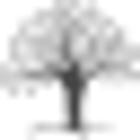 BCFS Health and Human Services logo