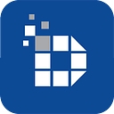 Discovery Solutions International logo