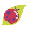 Discovery Child Care Center logo