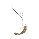 Favicon of Discovery Primea
