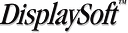 Display Systems, Inc. logo