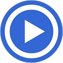 Display Systems International logo