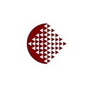 Distinctive Network Solutions, Inc. logo