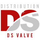 Distribution DS Valve  inc logo