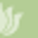 Diva Day Spa logo