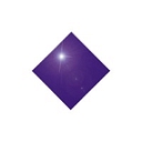 Diversified Management Services, Inc. logo