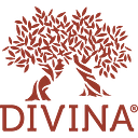 Divina Market logo