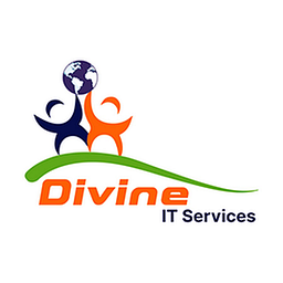 Divine IT Services, LLC. logo