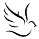 Divine Lighting And Fabrication logo